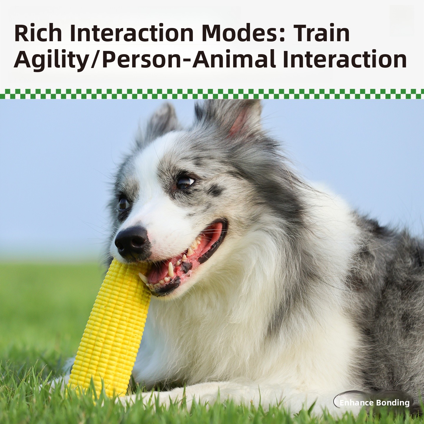 QZee Durable ETPU Corn Dog Toy - Corn Dog Stick บทวิจารณ์และราคา