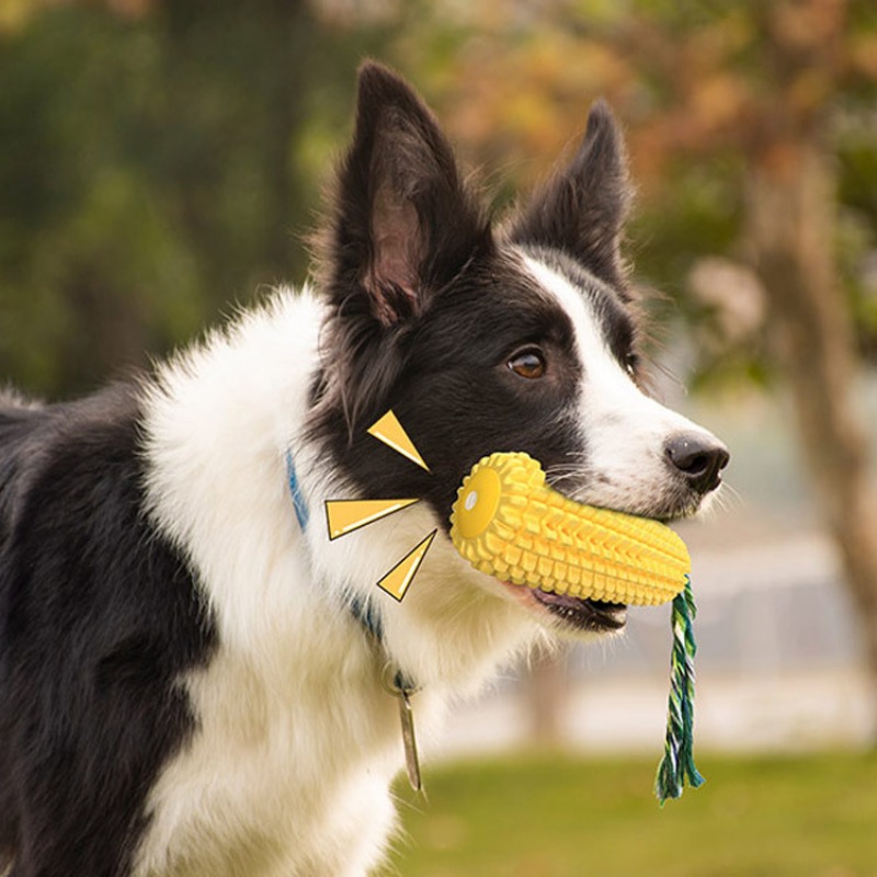 Squeaky Corn Dog Toothbrush Ch - Corn Dog Stick บทวิจารณ์และราคา