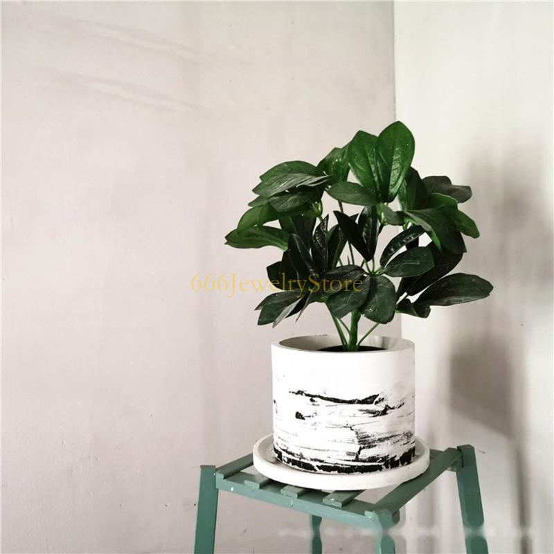 F2TD Large Round Concrete Flow - Potsticker Mold บทวิจารณ์และราคา